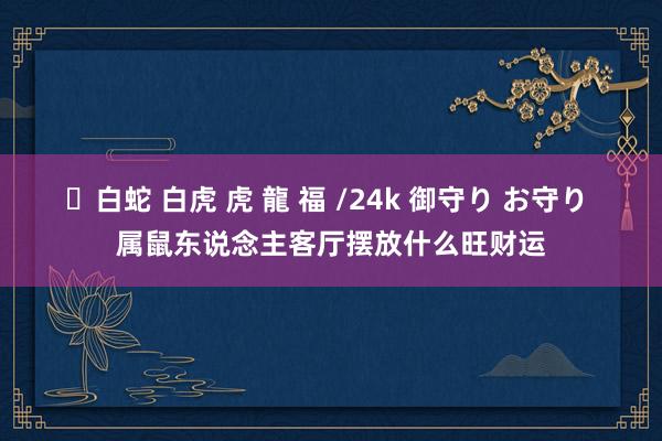✨白蛇 白虎 虎 龍 福 /24k 御守り お守り 属鼠东说念主客厅摆放什么旺财运