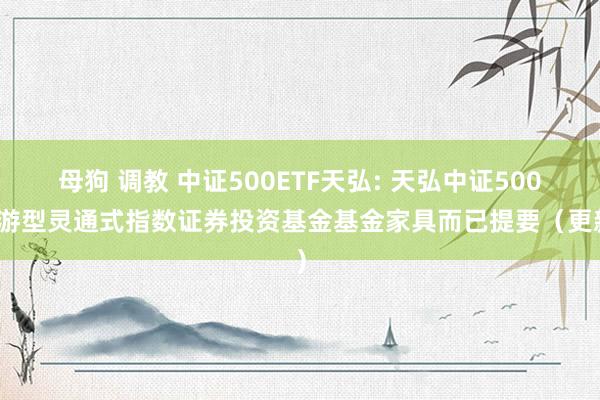 母狗 调教 中证500ETF天弘: 天弘中证500交游型灵通式指数证券投资基金基金家具而已提要(更新)