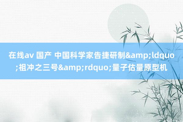 在线av 国产 中国科学家告捷研制&ldquo;祖冲之三号&rdquo;量子估量原型机