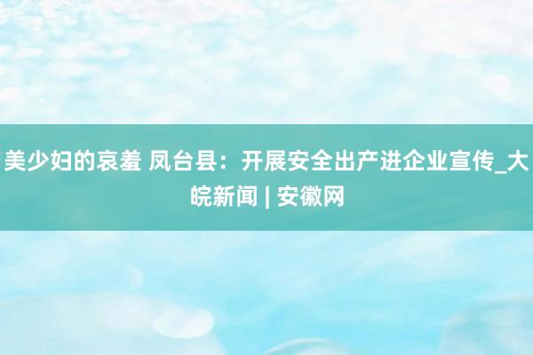 美少妇的哀羞 凤台县：开展安全出产进企业宣传_大皖新闻 | 安徽网