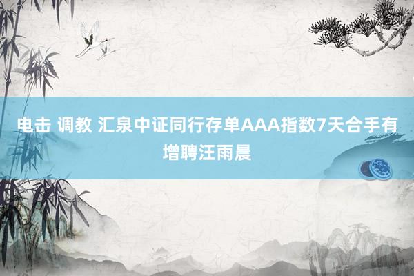 电击 调教 汇泉中证同行存单AAA指数7天合手有增聘汪雨晨
