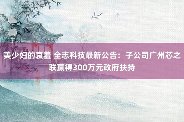 美少妇的哀羞 全志科技最新公告：子公司广州芯之联赢得300万元政府扶持