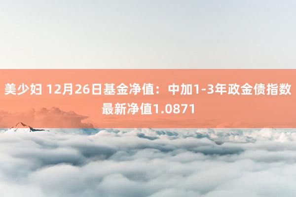 美少妇 12月26日基金净值：中加1-3年政金债指数最新净值1.0871
