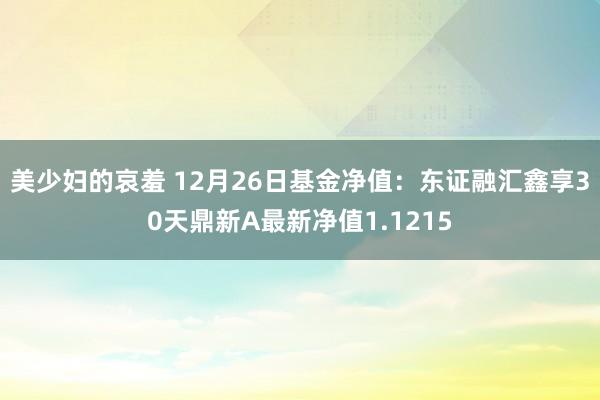 美少妇的哀羞 12月26日基金净值：东证融汇鑫享30天鼎新A最新净值1.1215