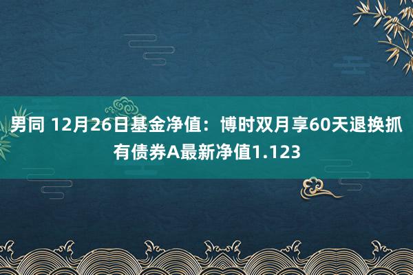 男同 12月26日基金净值：博时双月享60天退换抓有债券A最新净值1.123