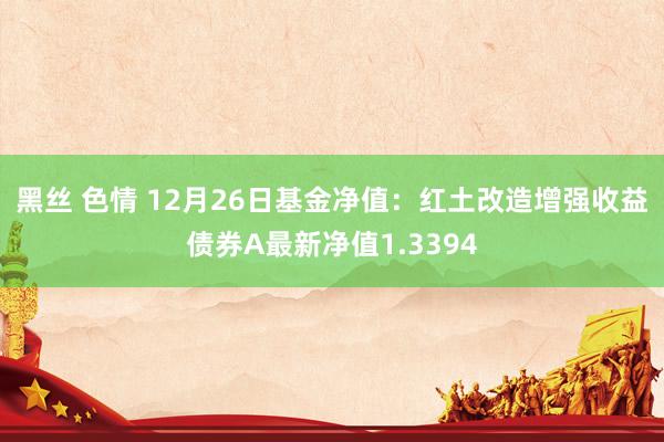 黑丝 色情 12月26日基金净值：红土改造增强收益债券A最新净值1.3394