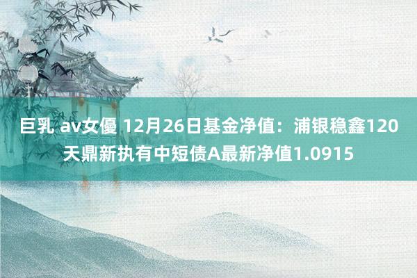 巨乳 av女優 12月26日基金净值：浦银稳鑫120天鼎新执有中短债A最新净值1.0915