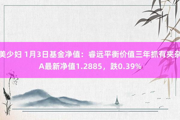 美少妇 1月3日基金净值：睿远平衡价值三年抓有夹杂A最新净值1.2885，跌0.39%