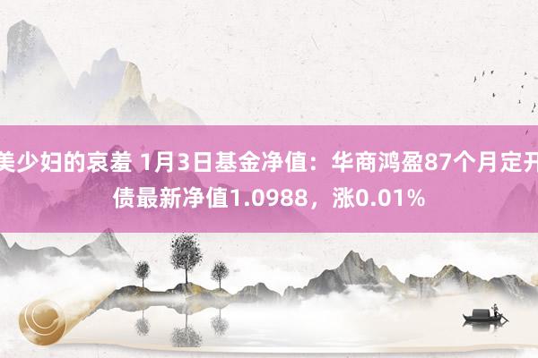美少妇的哀羞 1月3日基金净值：华商鸿盈87个月定开债最新净值1.0988，涨0.01%