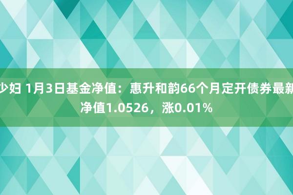 少妇 1月3日基金净值：惠升和韵66个月定开债券最新净值1.0526，涨0.01%