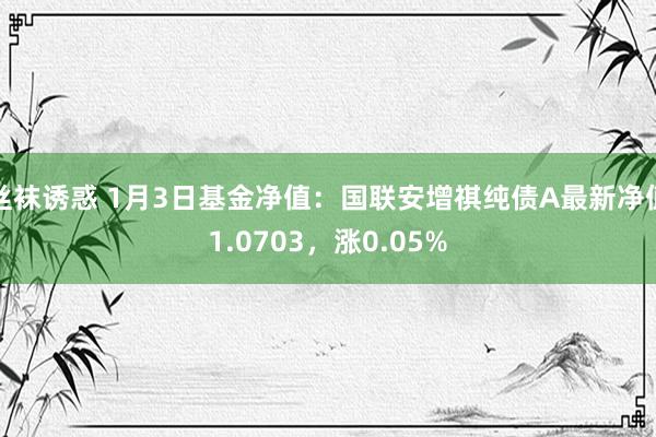 丝袜诱惑 1月3日基金净值：国联安增祺纯债A最新净值1.0703，涨0.05%