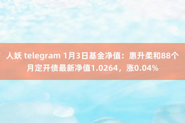 人妖 telegram 1月3日基金净值：惠升柔和88个月定开债最新净值1.0264，涨0.04%
