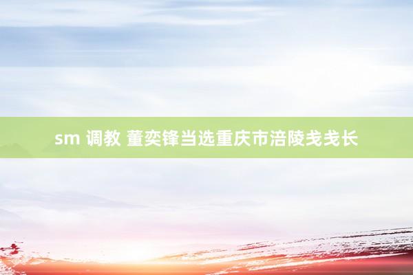 sm 调教 董奕锋当选重庆市涪陵戋戋长