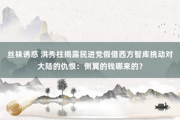 丝袜诱惑 洪秀柱揭露民进党假借西方智库挑动对大陆的仇恨：侧翼的钱哪来的？