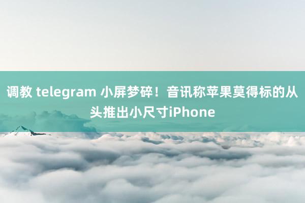 调教 telegram 小屏梦碎！音讯称苹果莫得标的从头推出小尺寸iPhone