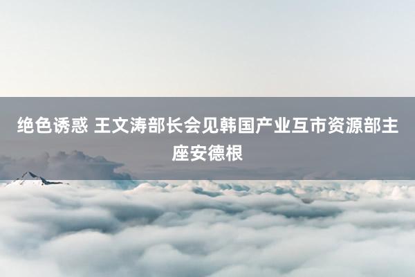 绝色诱惑 王文涛部长会见韩国产业互市资源部主座安德根