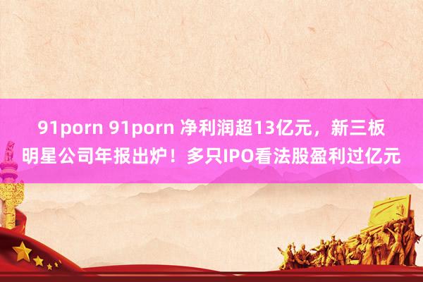 91porn 91porn 净利润超13亿元，新三板明星公司年报出炉！多只IPO看法股盈利过亿元