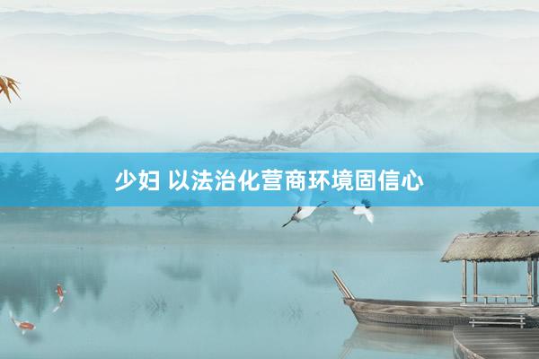 少妇 以法治化营商环境固信心