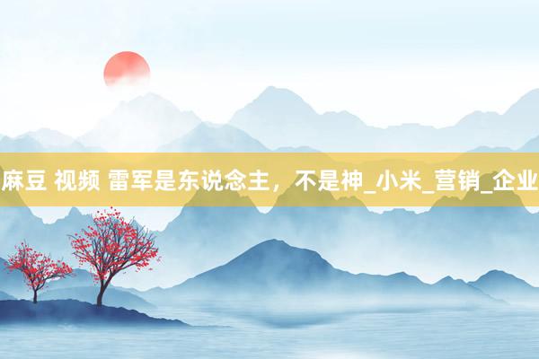 麻豆 视频 雷军是东说念主，不是神_小米_营销_企业